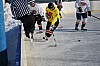 DSC_4657.jpg