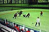 DSC_5360.jpg